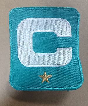 Miami Dolphins 1-star C Patch